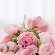 Underwear & Sleepwear